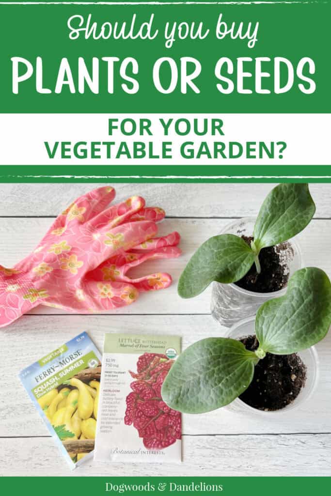 garden gloves, seedlings, and seed packets