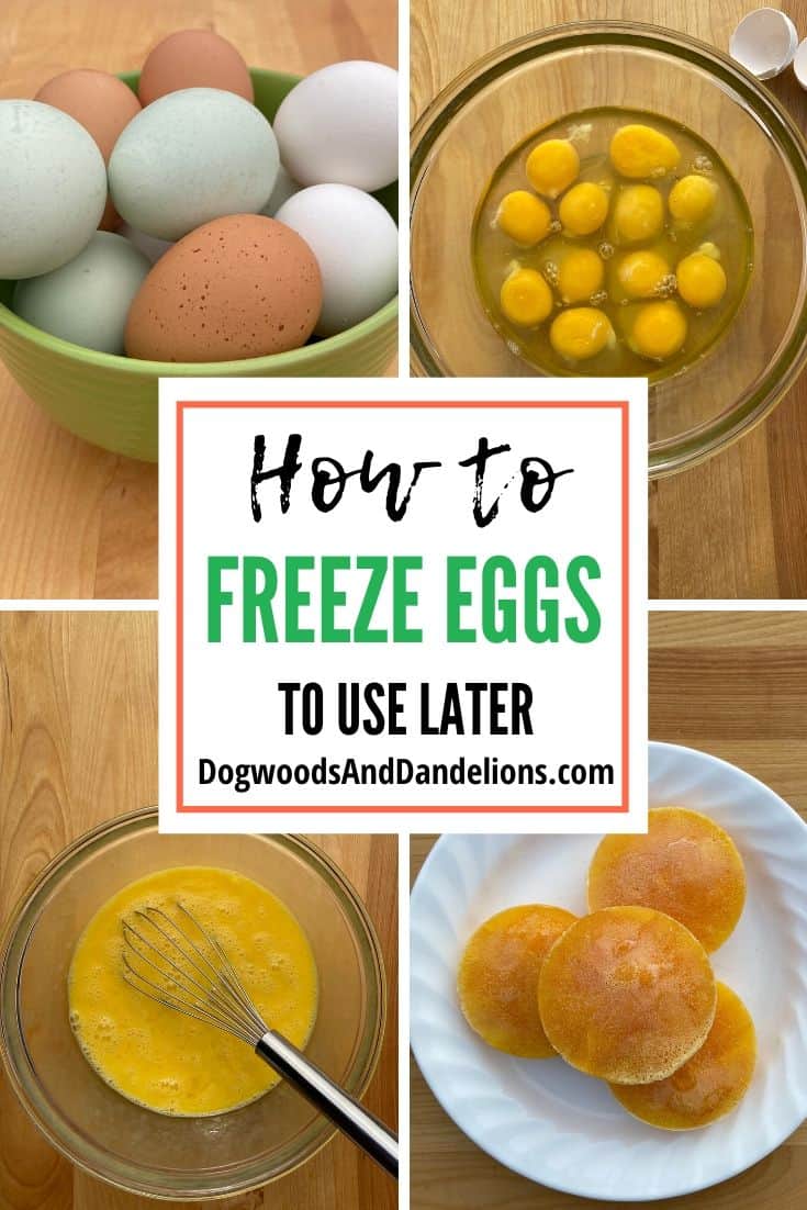 How to Freeze Eggs – Dogwoods & Dandelions