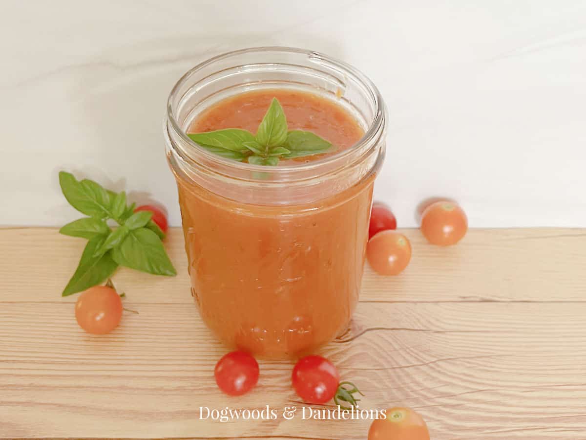 roasted cherry tomato sauce with a sprig of basil surrounded by cherry tomatoes