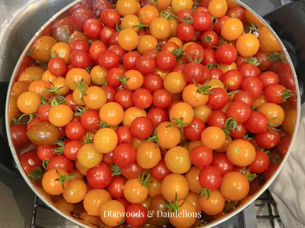 a colander of yellow and red cherry tomatoes