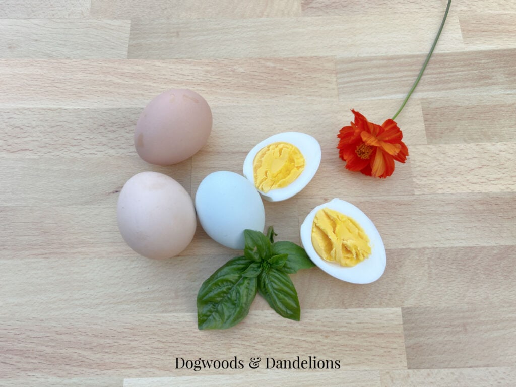 3 eggs, a hardboiled egg cut in half beside a sprig of basil and an orange flower