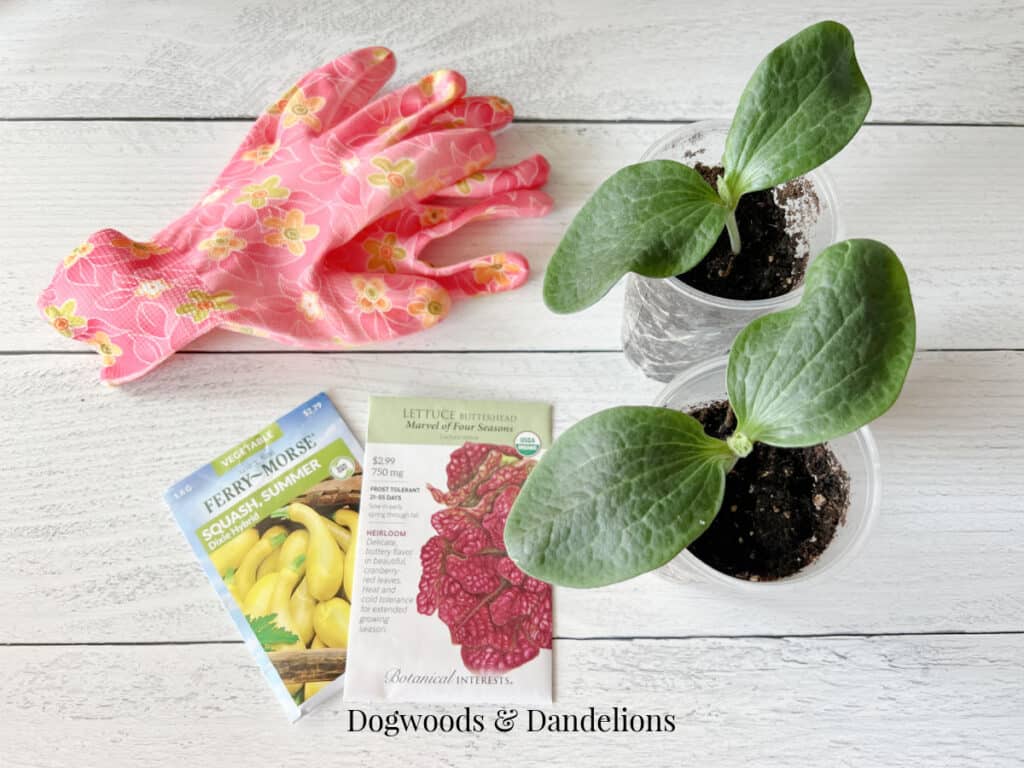 garden gloves, seedlings, and seed packets